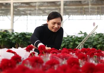&ldquo;芳香經濟&rdquo;走出致富路