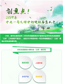 劃重點！2019年中央一號文件中的硬任務怎么干