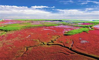 生態(tài)中國&middot;天遼地寧紅灘舞
