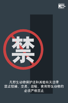 向非法野生動物交易、濫食野生動物陋習(xí)亮劍