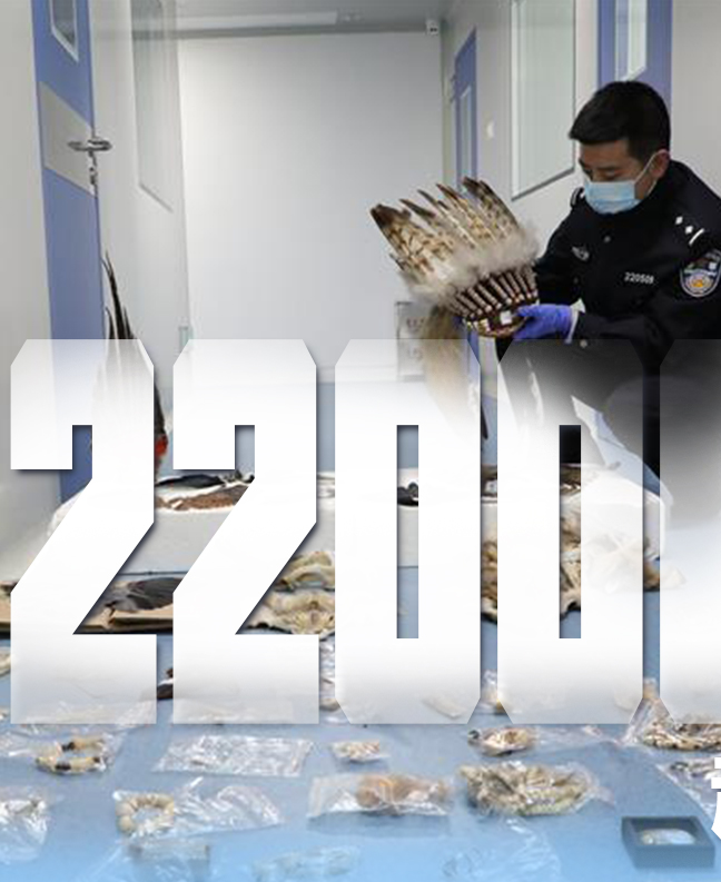 抗疫有&ldquo;法&rdquo;，就是這么給力！