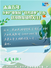 未來五年鄉(xiāng)村產業(yè)發(fā)展&ldquo;任務清單&rdquo;公布 這組數據值得關注！