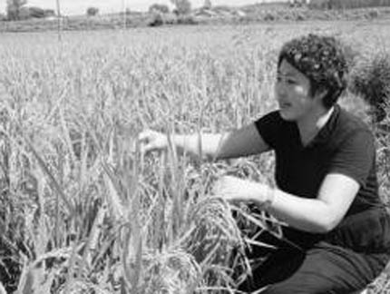 韓麗：帶領(lǐng)村民致富的先鋒