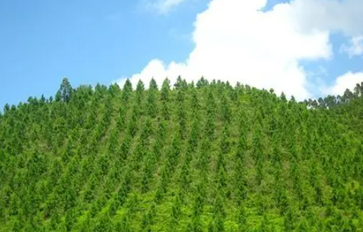 固態(tài)鋰電池疲勞失效機(jī)制被揭示