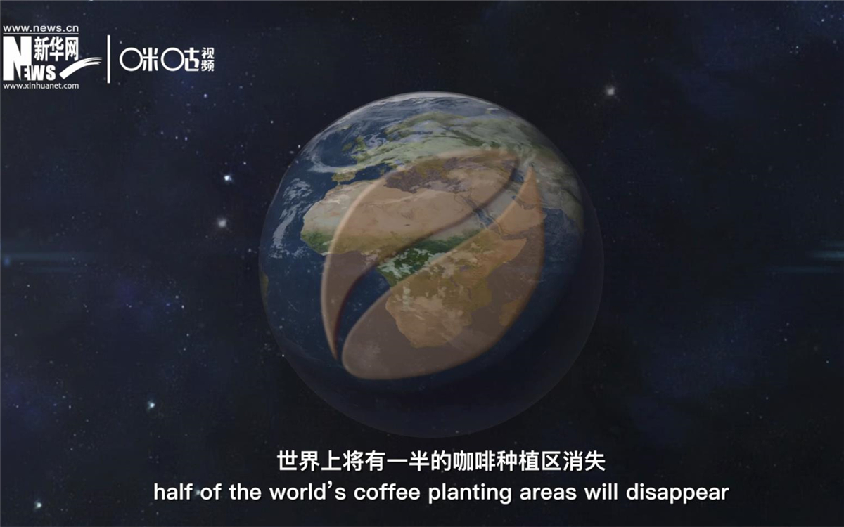 科學(xué)家預(yù)測到三十年后，世界上將有一半的咖啡種植區(qū)消失