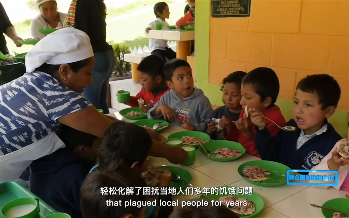 藜麥的蹤跡遍布北美、歐洲、亞洲和非洲多地