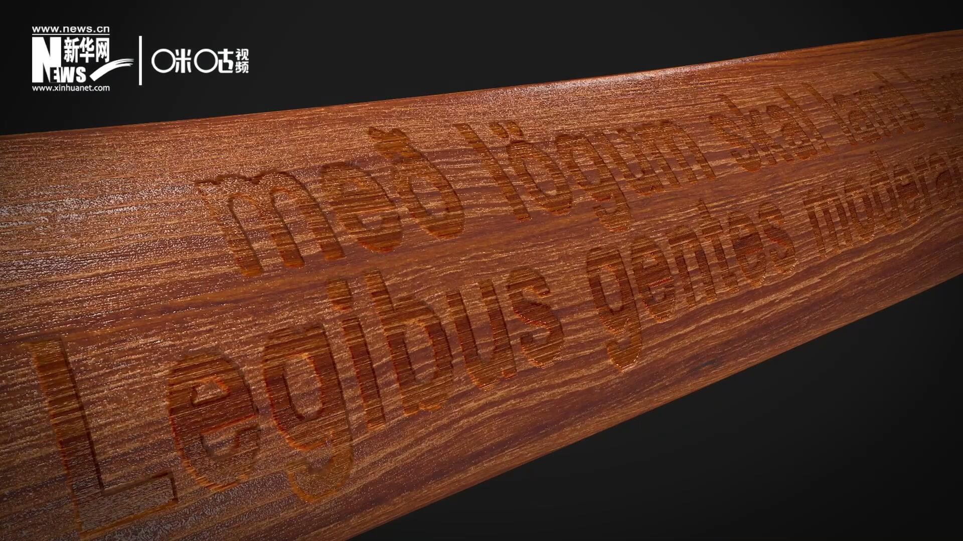 這把木槌尺寸超大、顏色棕紅、精雕細刻，上面刻有&ldquo;社會必須建立在法律的基礎(chǔ)上&rdquo;。