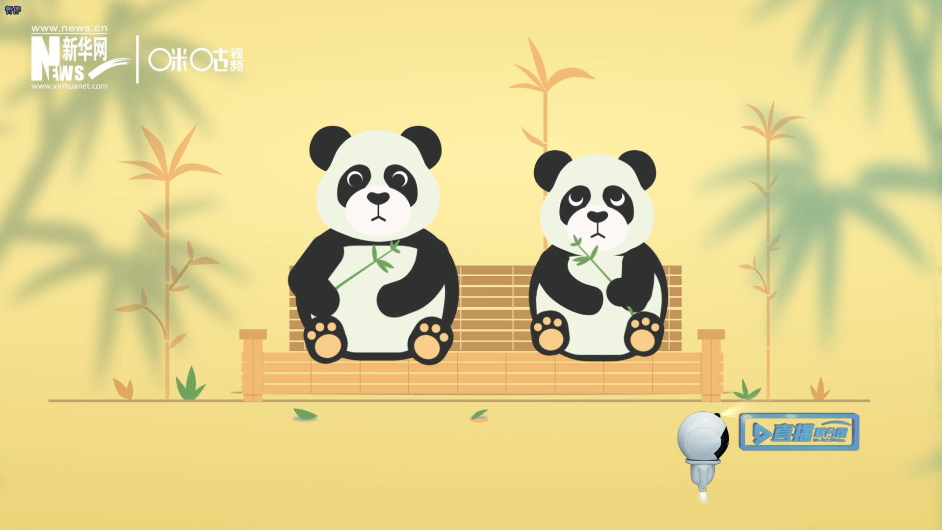 &ldquo;哥哥你看，又有人來看我們了。&rdquo;&ldquo;有什么奇怪的，我們可是聯(lián)合國&lsquo;最萌&rsquo;的大使??！&rdquo;。