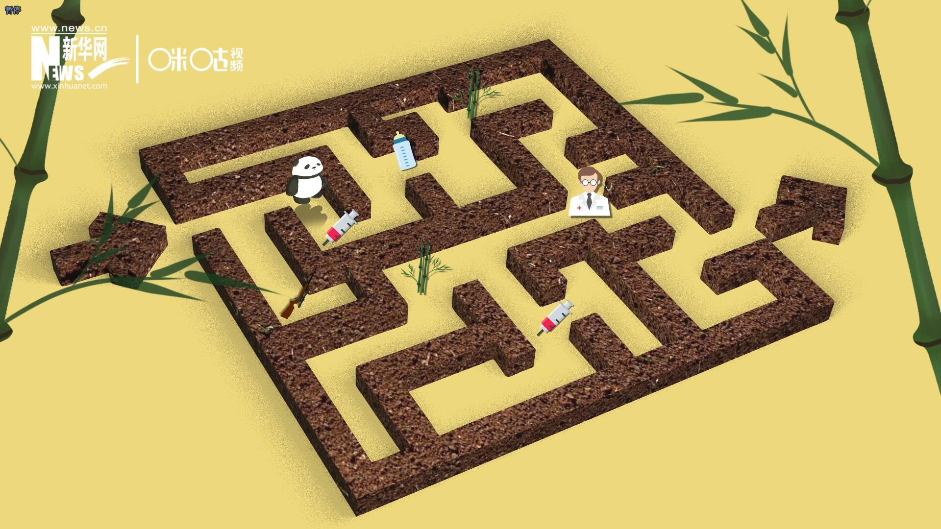 2016年，國際自然保護聯(lián)盟將大熊貓的物種瀕危等級，從&ldquo;瀕危&rdquo;下降到了&ldquo;易危&rdquo;。