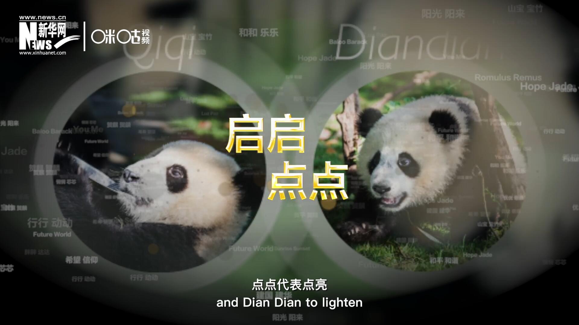 啟啟代表&ldquo;啟發(fā)&rdquo;，點點代表&ldquo;點亮&rdquo;，象征著2030年可持續(xù)發(fā)展議程 的&ldquo;起點&rdquo;，也象征著全球可持續(xù)發(fā)展路徑的新起點。