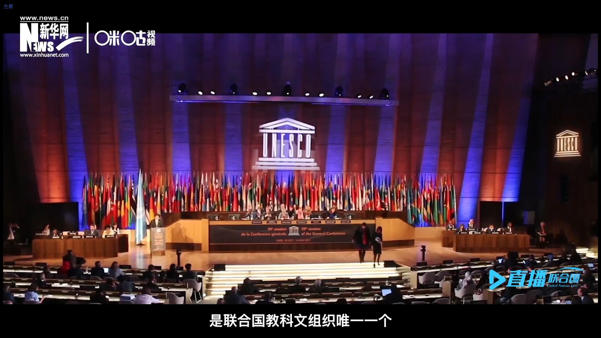 民間藝術(shù)國際組織成立于1979年，是聯(lián)合國教科文組織唯一一個以保護和挖掘國際民間藝術(shù)為工作中心的國際機構(gòu)。