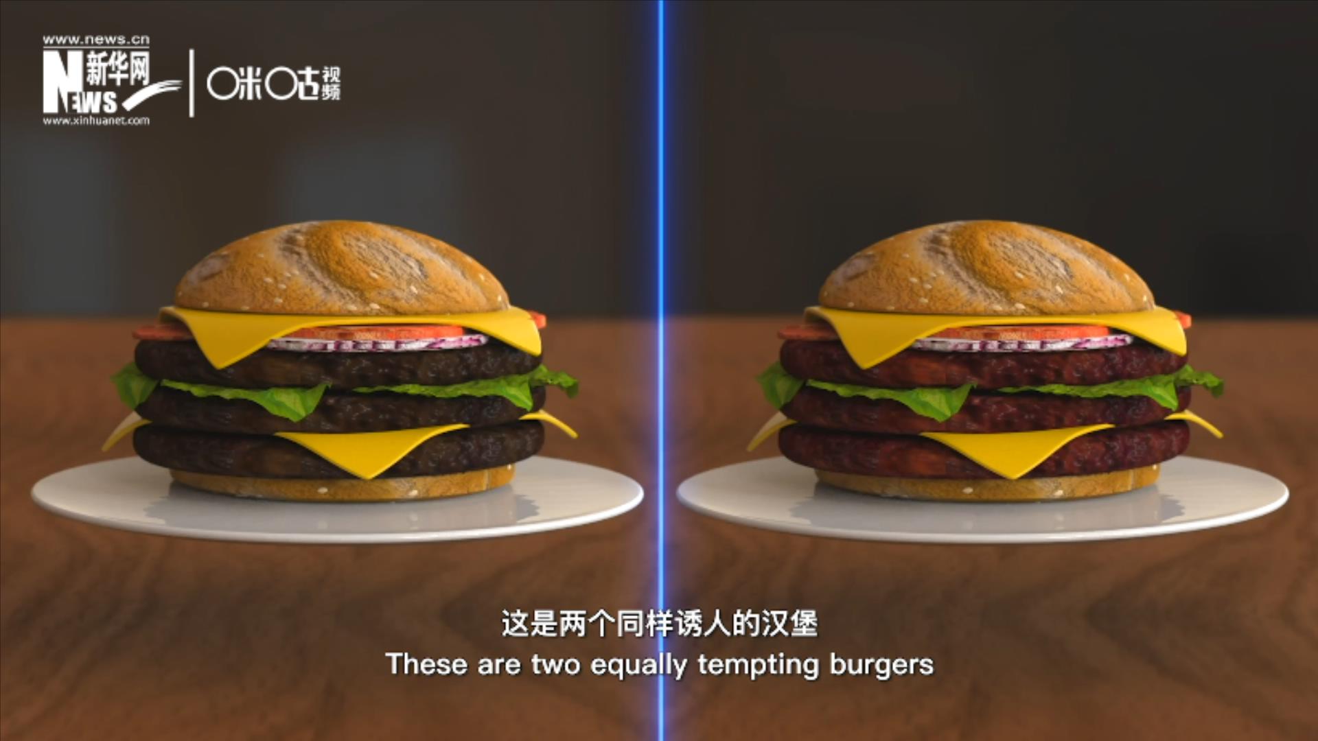 人造肉漢堡能在生產(chǎn)過程中節(jié)約水、土地、排放以及能量