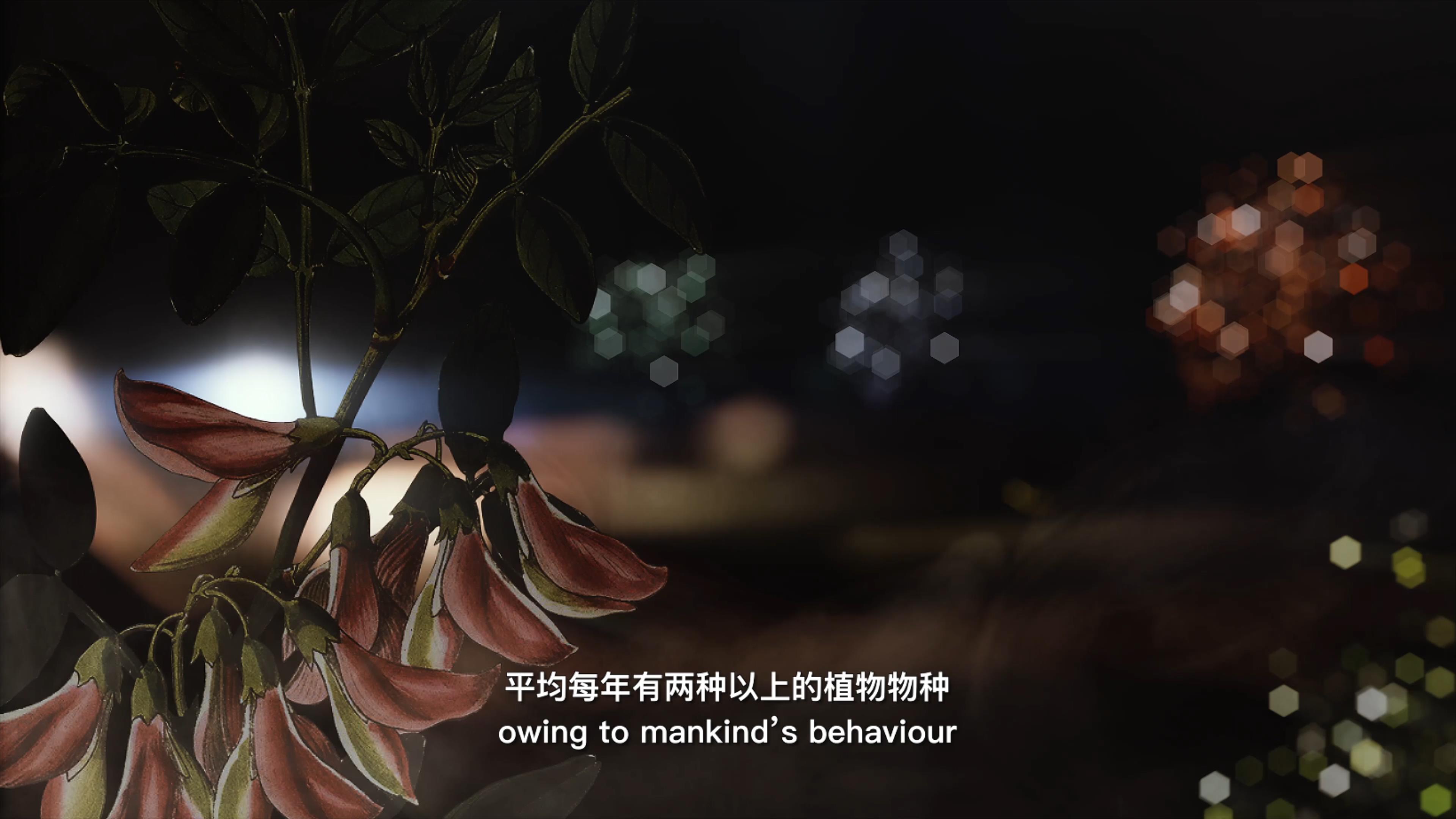 自18世紀中葉以來，許多植物物種因為人類的原因而從地球上消失