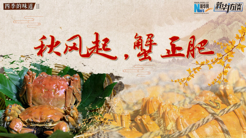 秋風起，蟹正肥