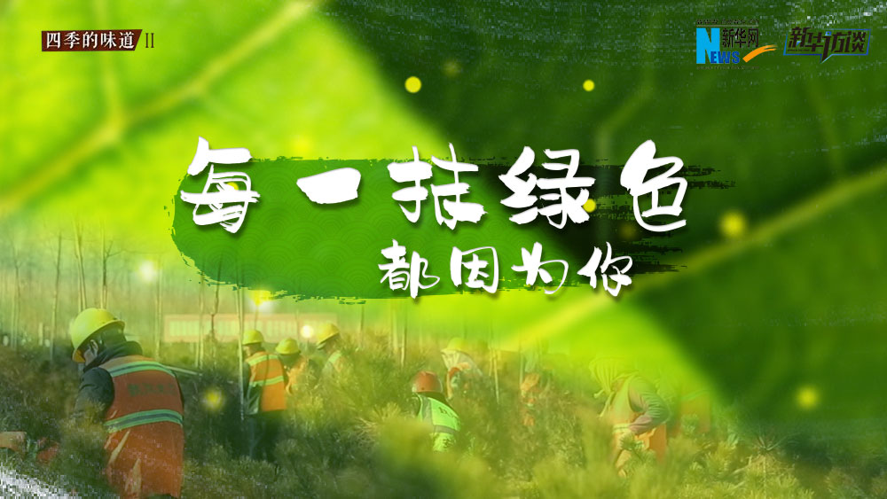 千年秀林，每一抹綠色都因為你