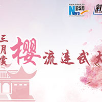 三月賞櫻，流連武大