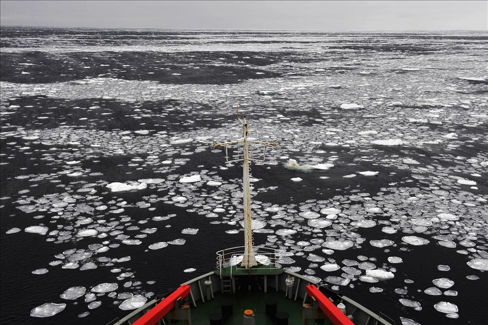 南大洋上的&ldquo;接天蓮葉&rdquo;(高清)