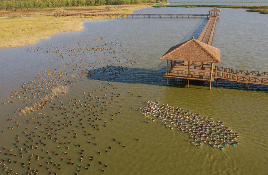 新華微評&middot;學(xué)習(xí)路上：生態(tài)興，百業(yè)旺