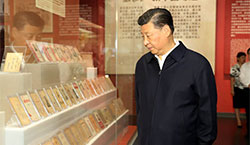 這些年，這些展，總書記這些話直抵人心