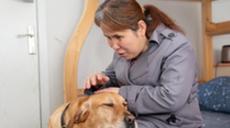 &ldquo;有你在身旁，真好&rdquo;