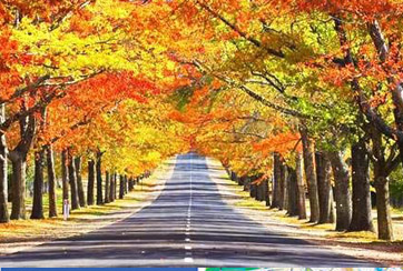 南下賞秋線(xiàn)是出游熱點(diǎn)