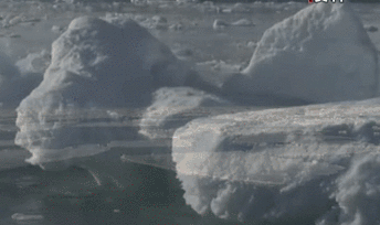 聯合國環(huán)境署發(fā)布全球環(huán)境報告：人類對自然的&ldquo;自殺式戰(zhàn)爭&rdquo;釀成三大危機