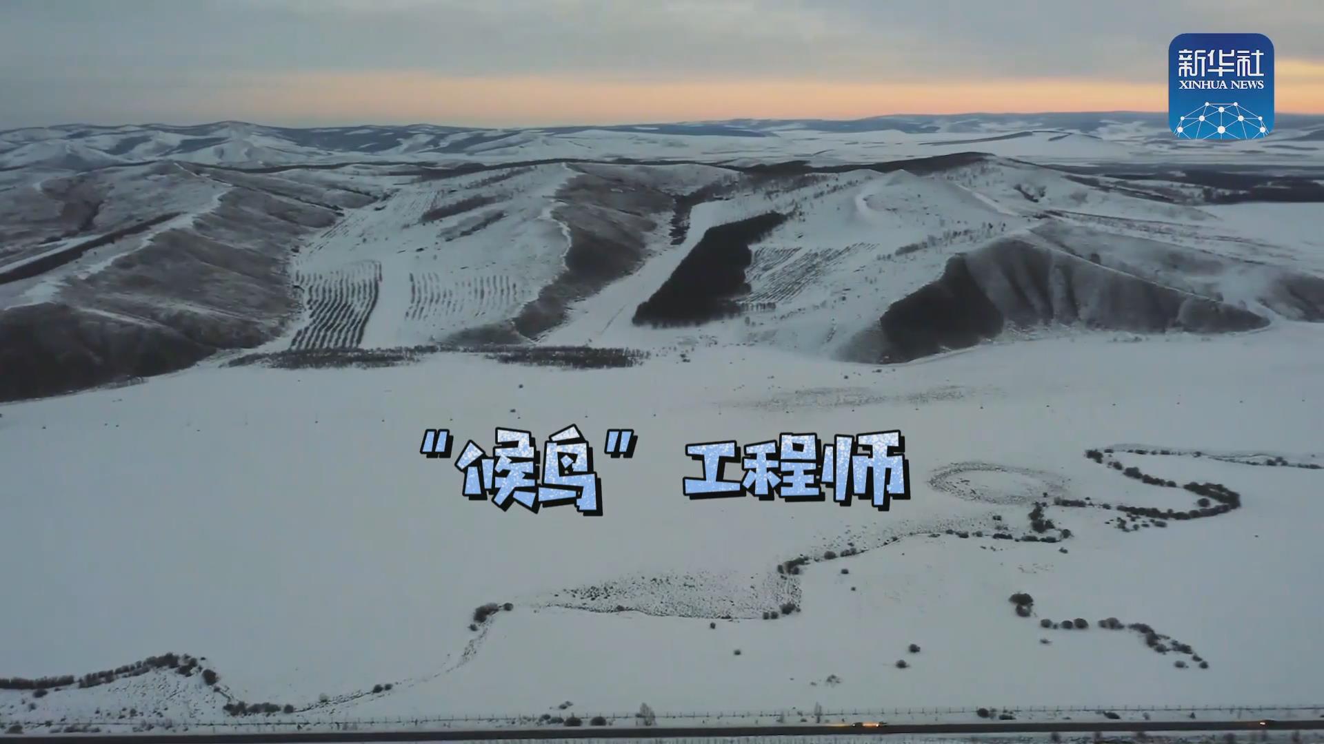 我們?cè)诒寂茇宦废虮?！他是逆行?ldquo;候鳥&rdquo;