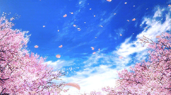 寧波這個地方早櫻花開成海，滿足你對春天的所有想象