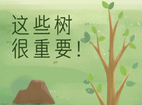 這些樹很重要！