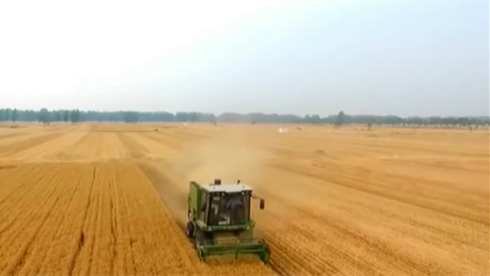 今天是第31個全國&ldquo;土地日&rdquo;：堅持最嚴格耕地保護制度 端穩(wěn)&ldquo;飯碗田&rdquo;