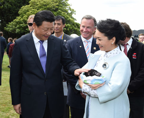 11月18日，國(guó)家主席習(xí)近平在澳大利亞塔斯馬尼亞州與朗塞斯頓市斯科奇－歐克伯恩小學(xué)的小學(xué)生共同植樹。這是習(xí)近平和夫人彭麗媛植樹后撫摸袋獾。新華社記者 馬占成 攝