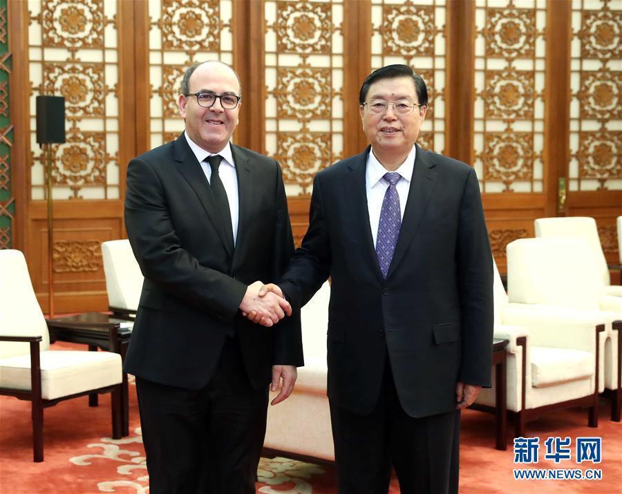 12月20日，全國人大常委會(huì)委員長張德江在北京人民大會(huì)堂會(huì)見摩洛哥參議長本希馬。新華社記者劉衛(wèi)兵攝