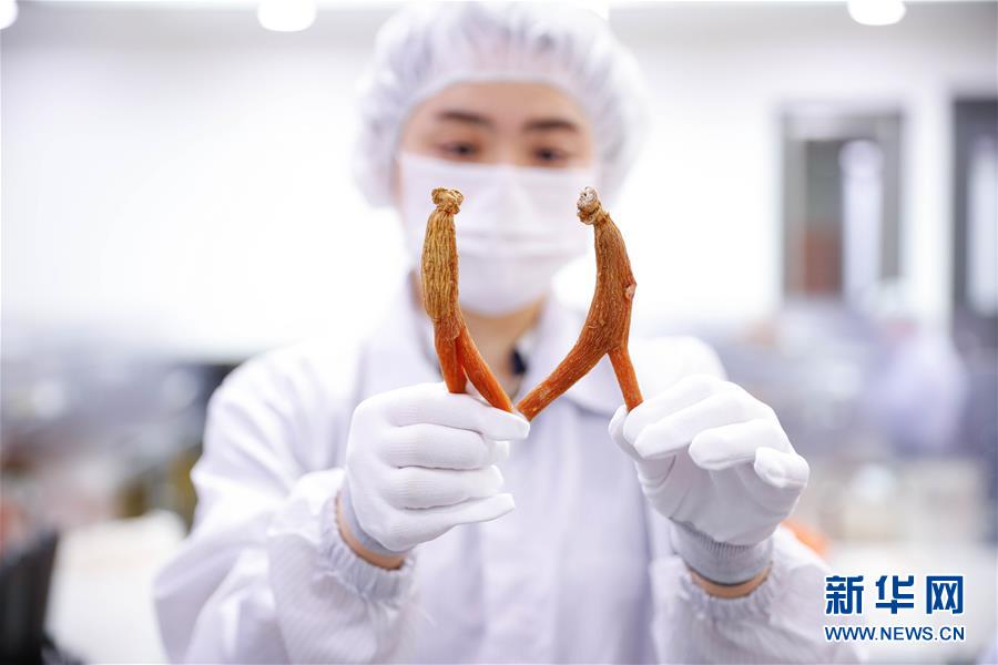 （國(guó)際&middot;一周看天下）高麗參