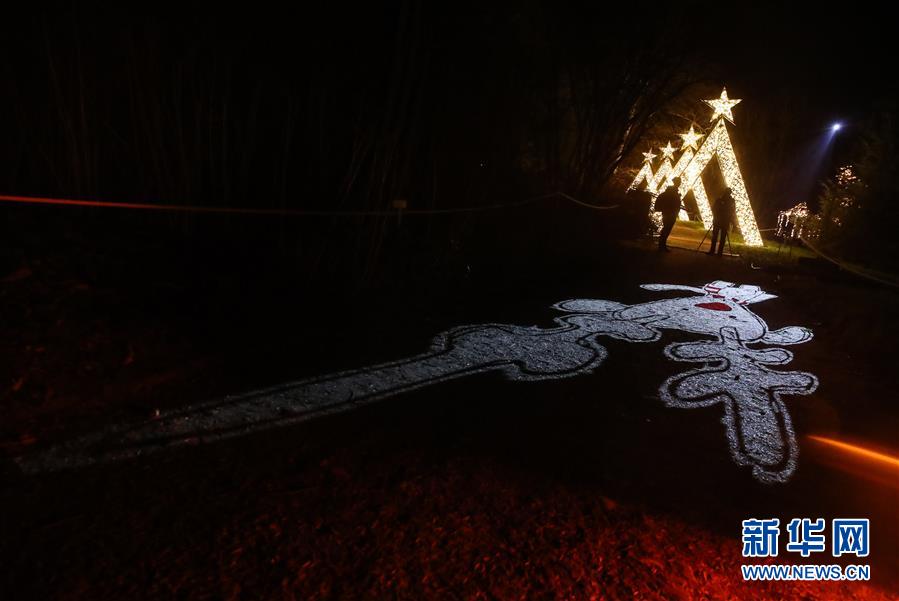 （國(guó)際）（2）&ldquo;柏林圣誕花園&rdquo;燈光秀開(kāi)幕