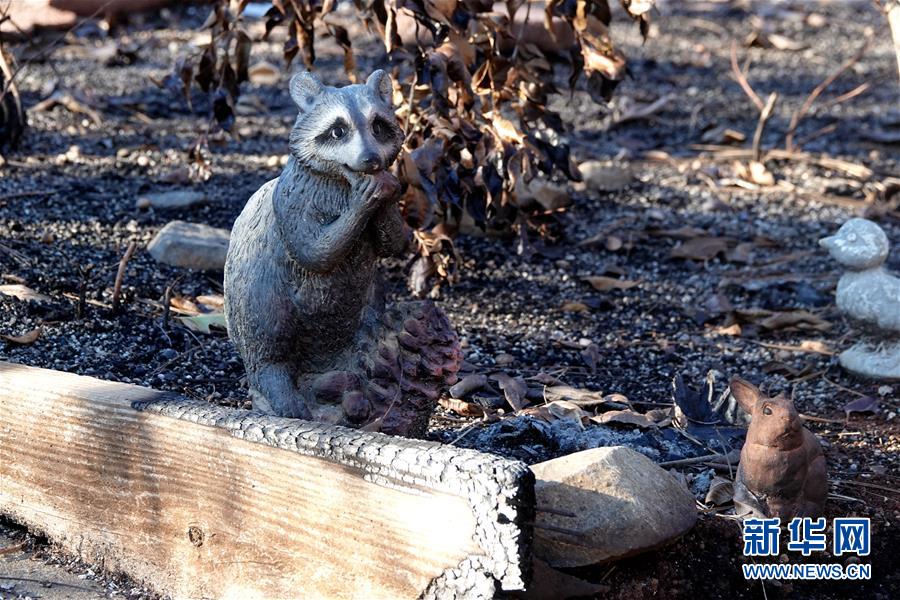 （國(guó)際&middot;圖文互動(dòng)）（4）一場(chǎng)山火，讓這個(gè)冬天格外冷&mdash;&mdash;探訪美國(guó)加州山火災(zāi)區(qū)