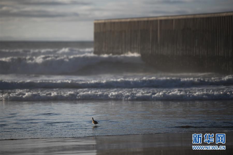 （國(guó)際）（4）美墨邊境墻，從這里開始