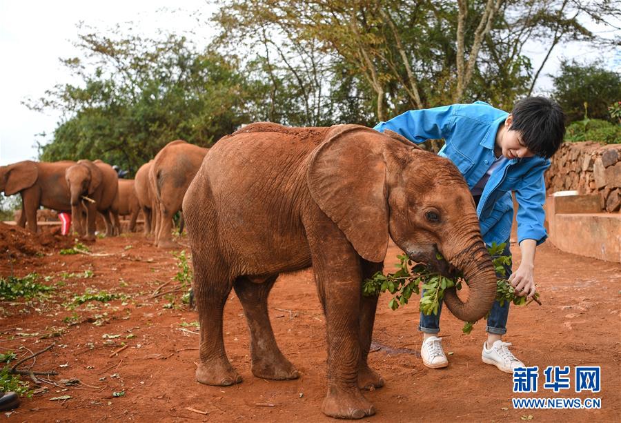 （國際&middot;圖文互動(dòng)）（2）專訪：環(huán)保要以身作則 從身邊小事做起&mdash;&mdash;訪聯(lián)合國環(huán)境署親善大使王俊凱