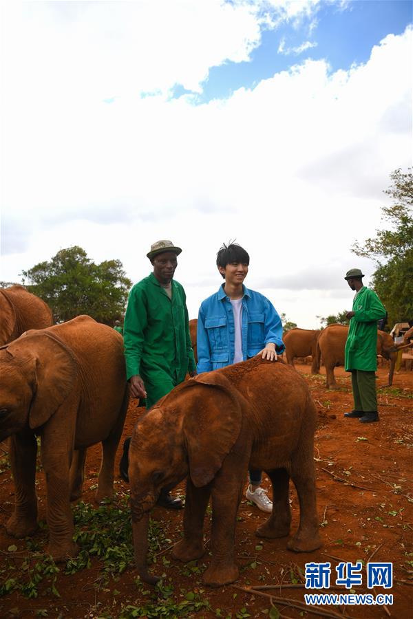 （國際&middot;圖文互動(dòng)）（3）專訪：環(huán)保要以身作則 從身邊小事做起&mdash;&mdash;訪聯(lián)合國環(huán)境署親善大使王俊凱