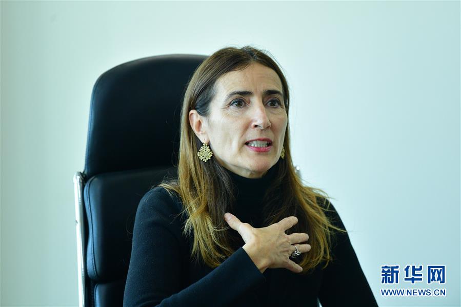 （國際 圖文互動(dòng)）（1）專訪：應(yīng)對(duì)氣候變化應(yīng)從談判轉(zhuǎn)向行動(dòng)&mdash;&mdash;訪2019年聯(lián)合國氣候變化大會(huì)主席施密特