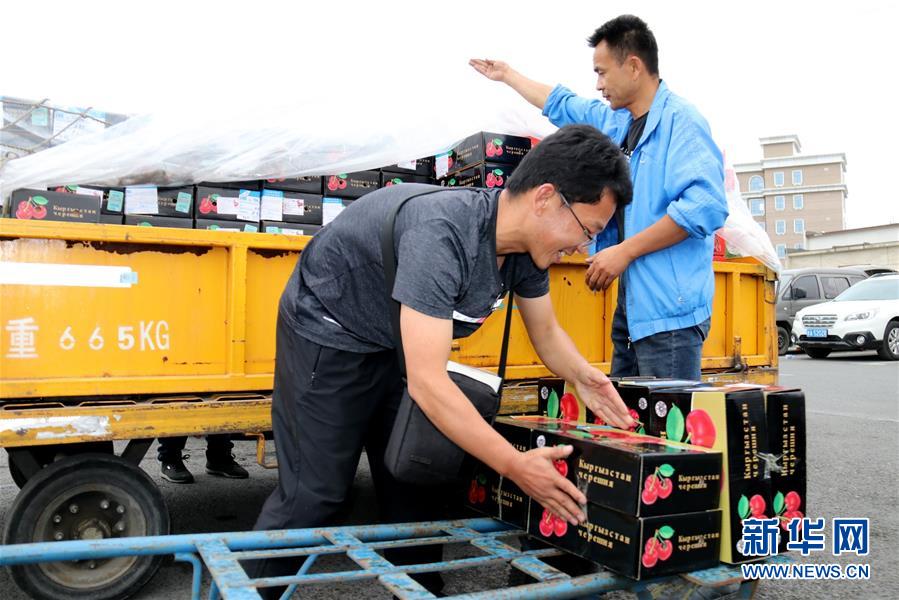 (圖文互動)(2)中亞櫻桃乘坐飛機進入我國市場