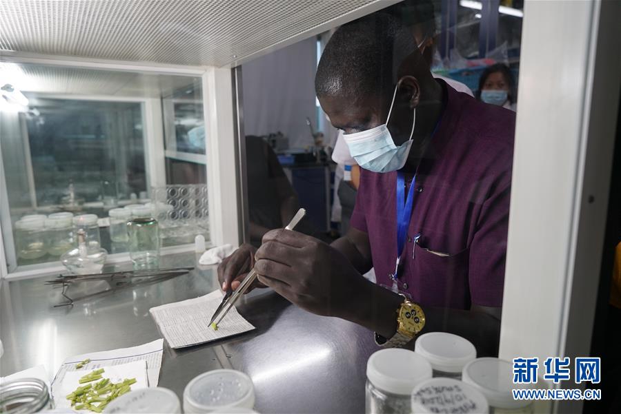 （在習(xí)近平新時代中國特色社會主義思想指引下&mdash;&mdash;新時代新作為新篇章&middot;總書記關(guān)切開放事&middot;圖文互動）（8）來中國&ldquo;學(xué)種地&rdquo;的&ldquo;洋學(xué)生&rdquo;