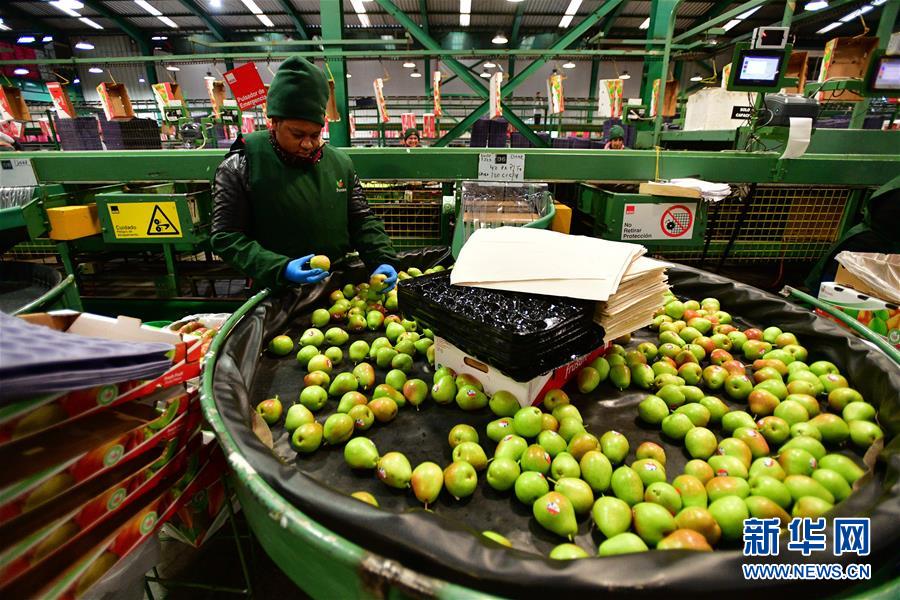 （國(guó)際&middot;年終報(bào)道）（11）&ldquo;回味&rdquo;2019