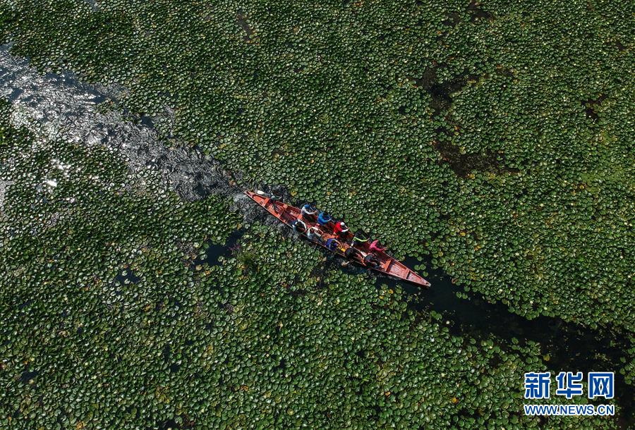 （國際&middot;年終報道）（8）2019，精&ldquo;彩&rdquo;紛呈