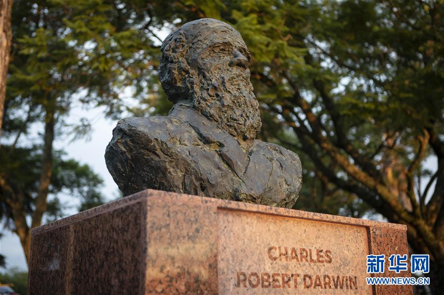 （國際&middot;圖文互動）（1）通訊：一位中國雕塑家與拉美的不解情緣