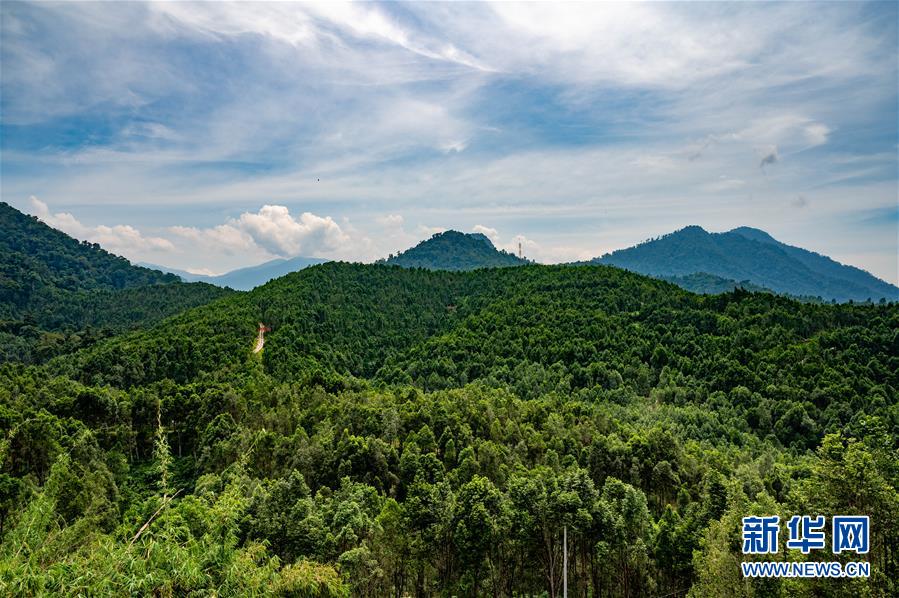 （第三屆進(jìn)博會(huì)&middot;圖文互動(dòng)）（2）專訪：進(jìn)博會(huì)提供了一個(gè)共享中國(guó)發(fā)展機(jī)遇的平臺(tái)