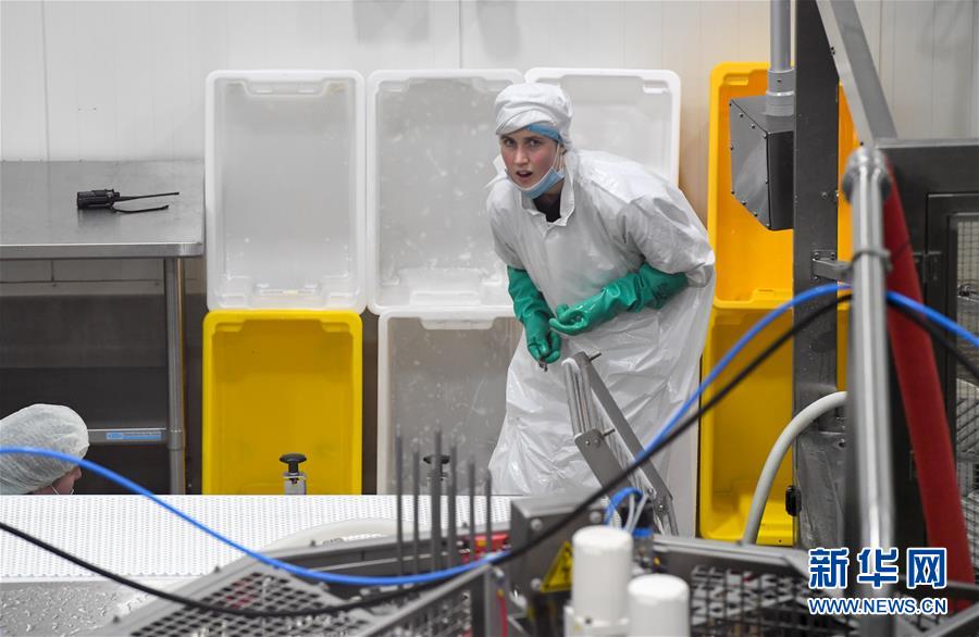 （第三屆進(jìn)博會&middot;圖文互動）（2）通訊：新西蘭的進(jìn)博會味道，甜