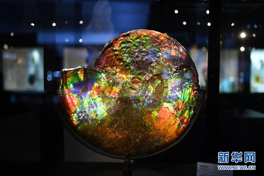 (第三屆進(jìn)博會(huì)·新華視界)(1)觀展體驗(yàn):多彩·絢爛·未來(lái)感