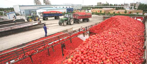 中國推動構建共贏、互信、發(fā)展的新絲綢之路