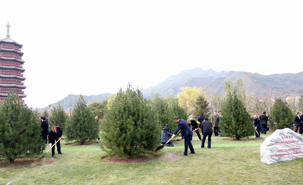 出席亞太經(jīng)合組織領(lǐng)導(dǎo)人非正式會議的各成員經(jīng)濟體領(lǐng)導(dǎo)人或代表共植亞太伙伴林