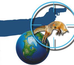 中國全球&ldquo;獵狐&rdquo;戰(zhàn)果豐碩！